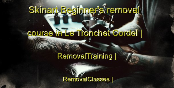 Skinart Beginner's removal course in Le Tronchet Cordel | RemovalTraining | RemovalClasses | SkinartTraining-France